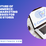 The Future of E-Commerce Digital Marketing Strategies for Online Stores